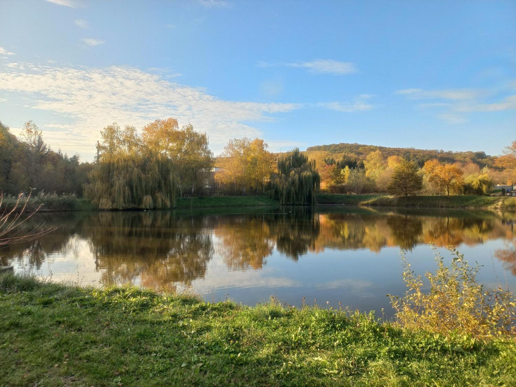 Penzion Ve Vinohrade Nemcicky  Экстерьер фото